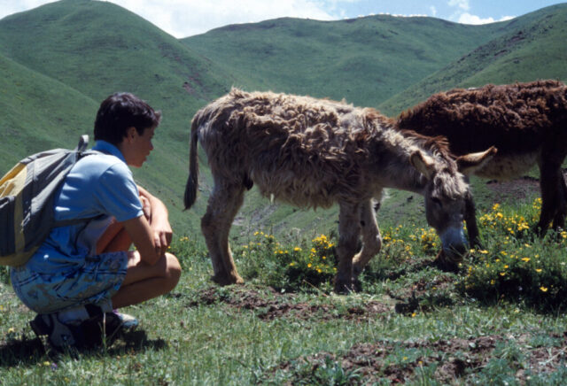 Autour de Xiahe, Chine