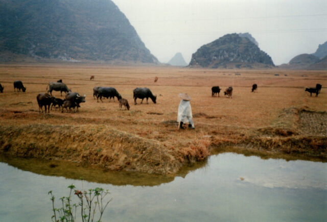 La rivière Daxia, Chine