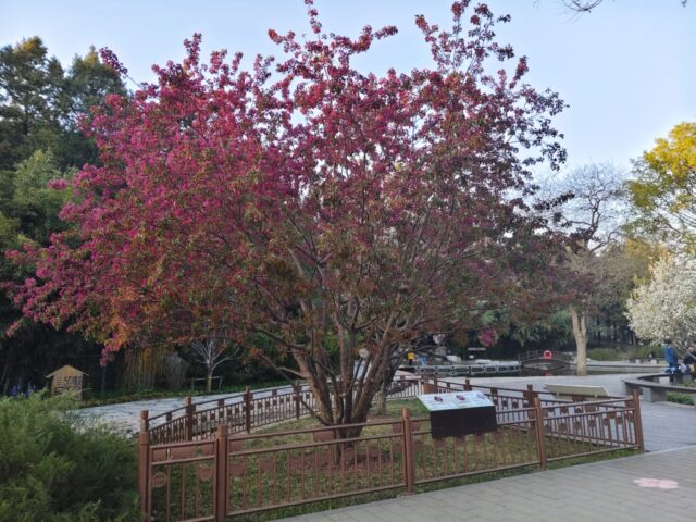 Parc du pavillon de la joie insouciante - Pékin