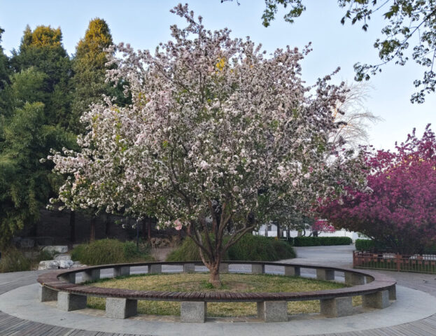 Parc du pavillon de la joie insouciante - Pékin
