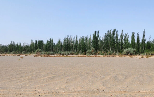 Le désert de Gobi de Zhangye à Liuyuan