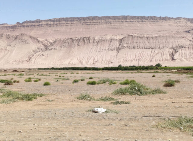 Le désert du Kumtag au Xinjiang