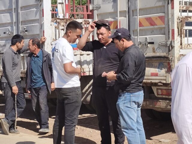 Marché aux bestiaux de Kashgar