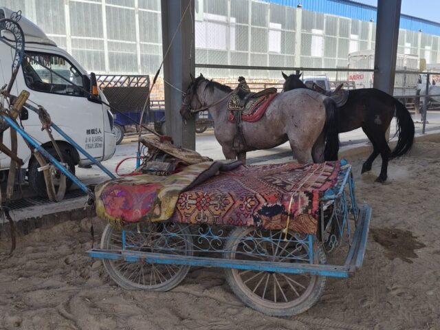 Marché aux bestiaux de Kashgar