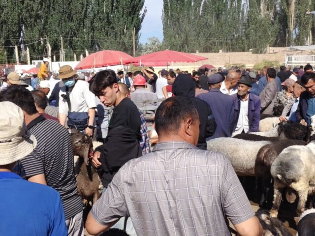 Marché aux bestiaux de Kashgar