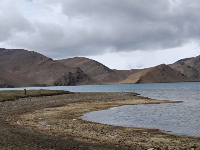 Le lac de Karakoul en 2026