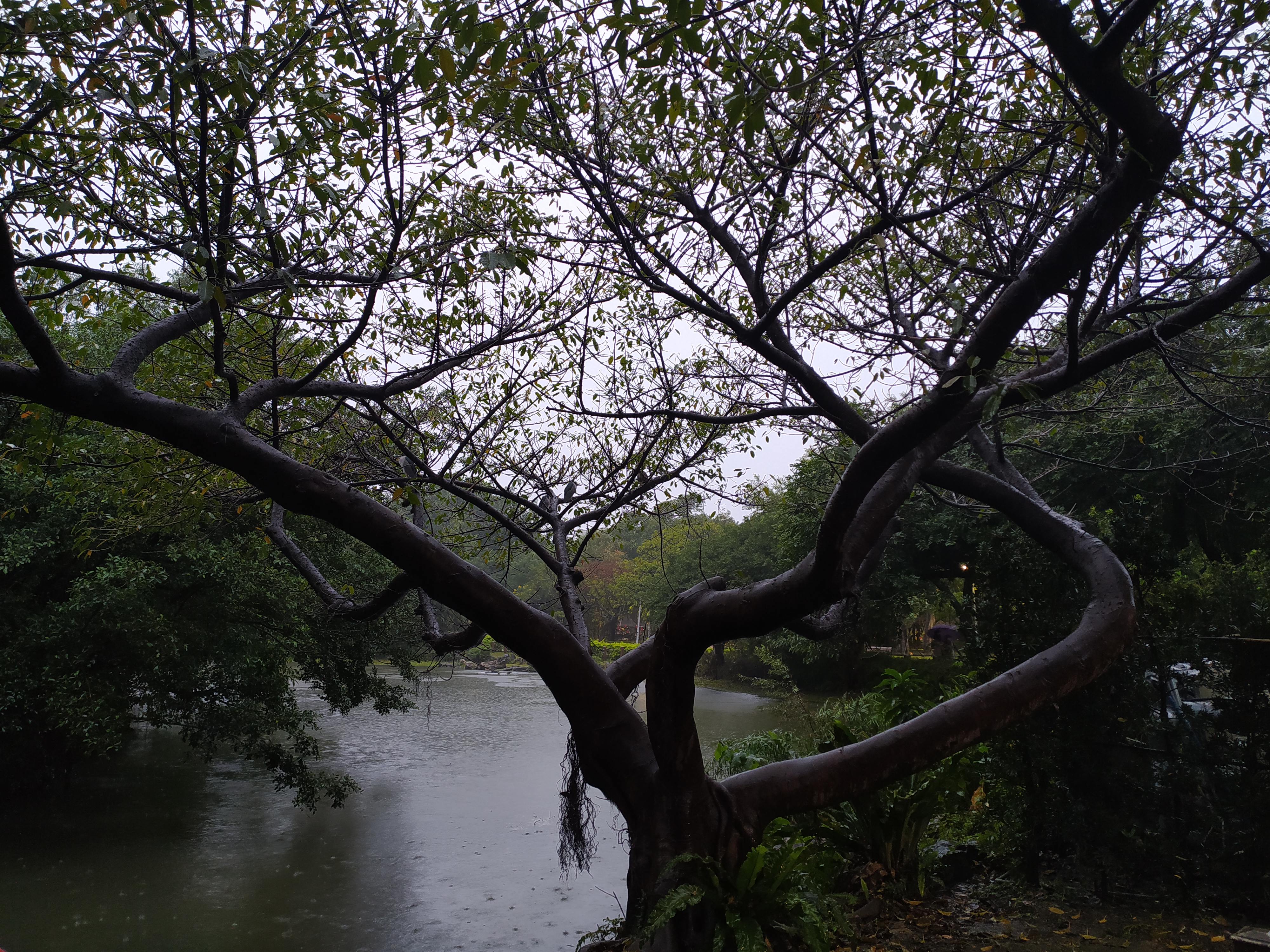 1-4 Taipei 1-4 Taipei