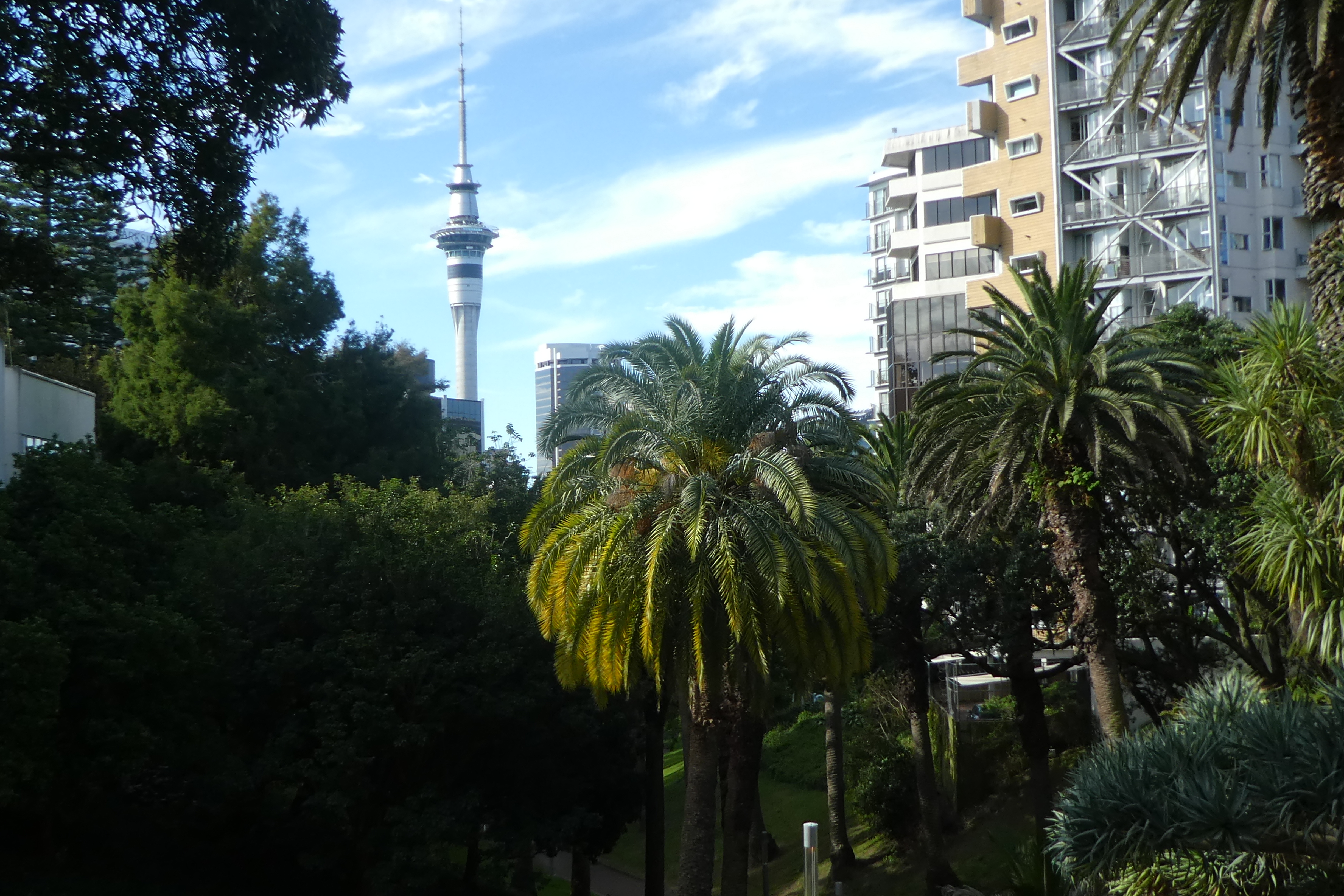 1-2 Nouvelle Zélande (1)