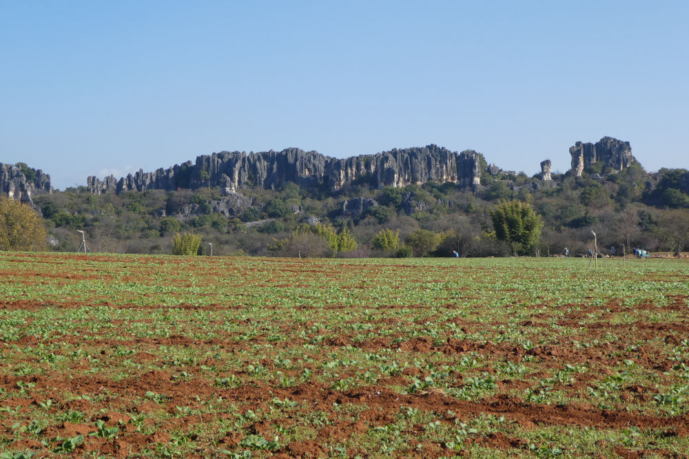 4-6i Shilin Naigu 4-6i Shilin Naigu